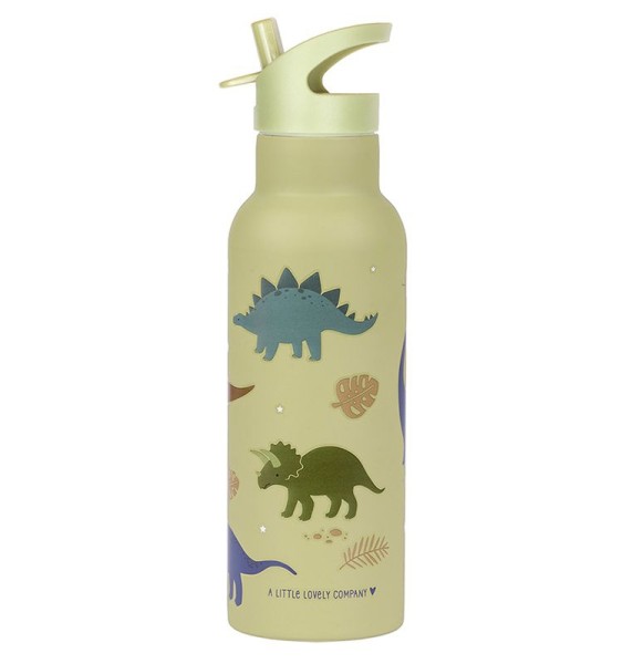 Trinkflasche 500 ml - Edelstahl / Dinosaurier